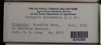 Image Associated With the Occurence